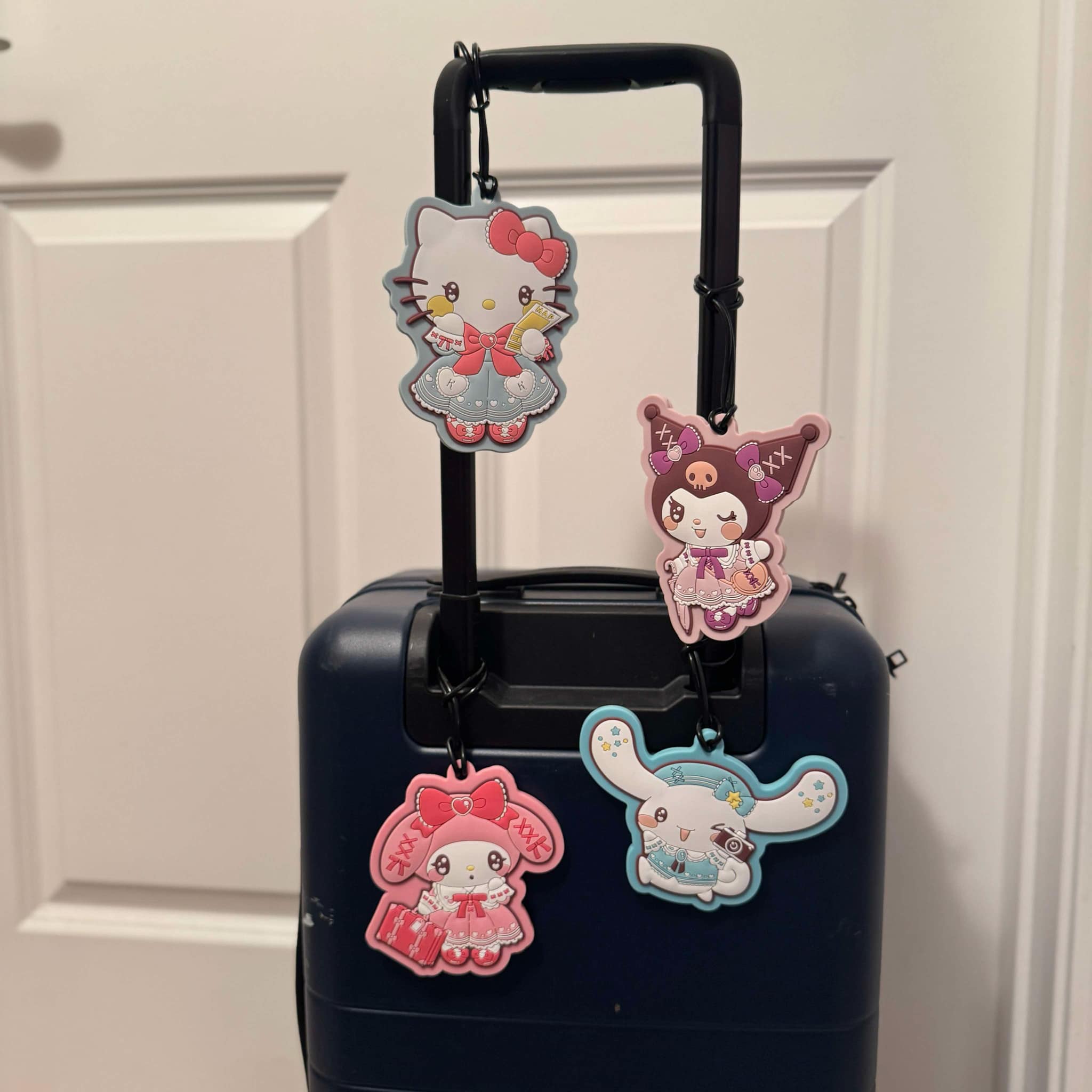 Sanrio Luggage Tag